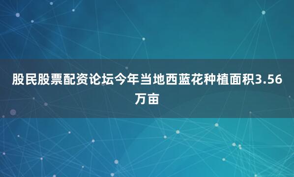 股民股票配资论坛今年当地西蓝花种植面积3.56万亩