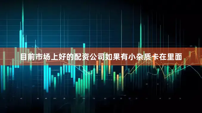 目前市场上好的配资公司如果有小杂质卡在里面
