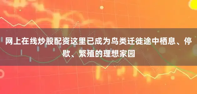 网上在线炒股配资这里已成为鸟类迁徙途中栖息、停歇、繁殖的理想家园