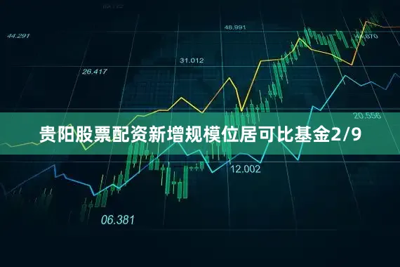 贵阳股票配资新增规模位居可比基金2/9