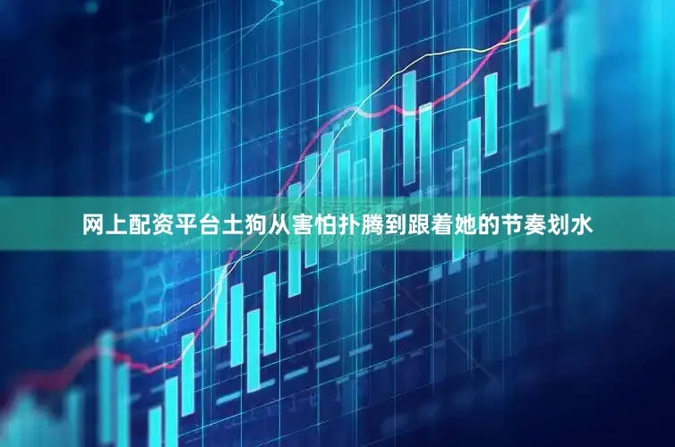 网上配资平台土狗从害怕扑腾到跟着她的节奏划水
