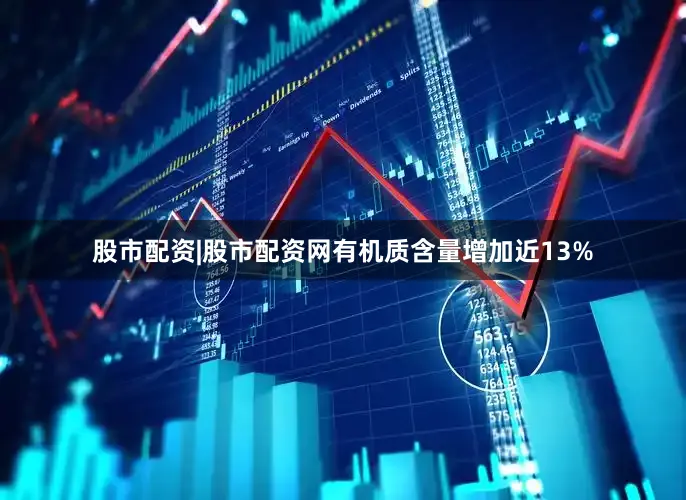 股市配资|股市配资网有机质含量增加近13%
